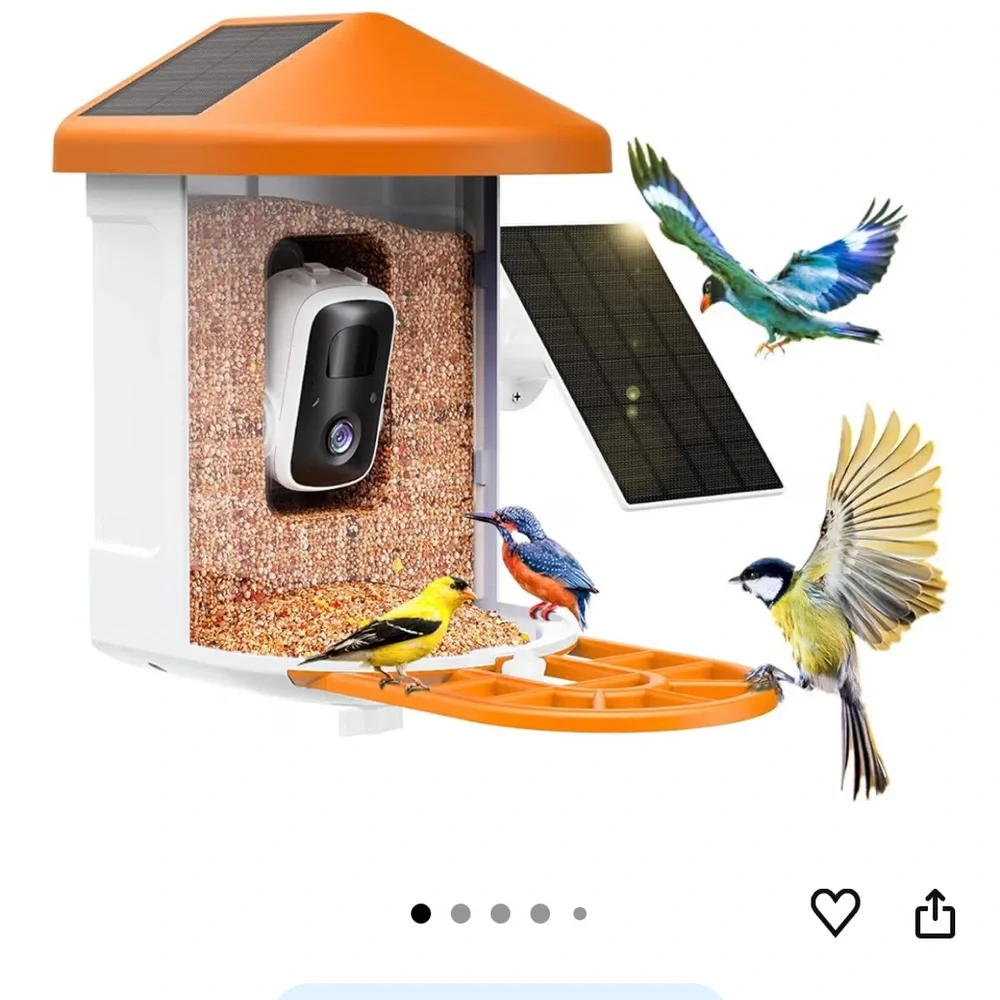 Smart Bird Feeder Camera with AI identification